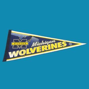 Vintage Michigan Wolverines Licensed 30" x 12" Pennant Rico Tag Express